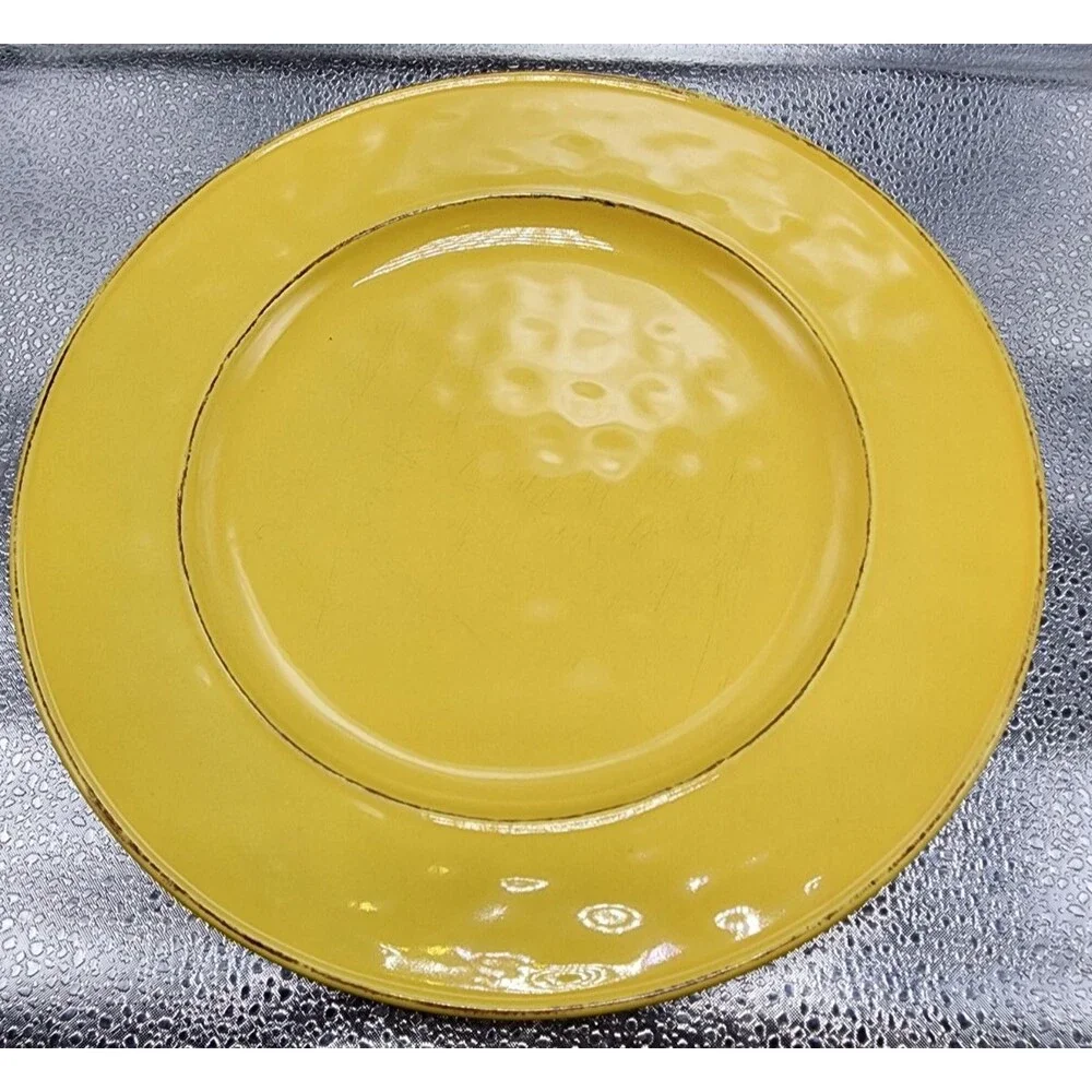 Pier 1 Martillo Mango Stoneware Dinner Plates (Set Of 4) READ!!!!!!!